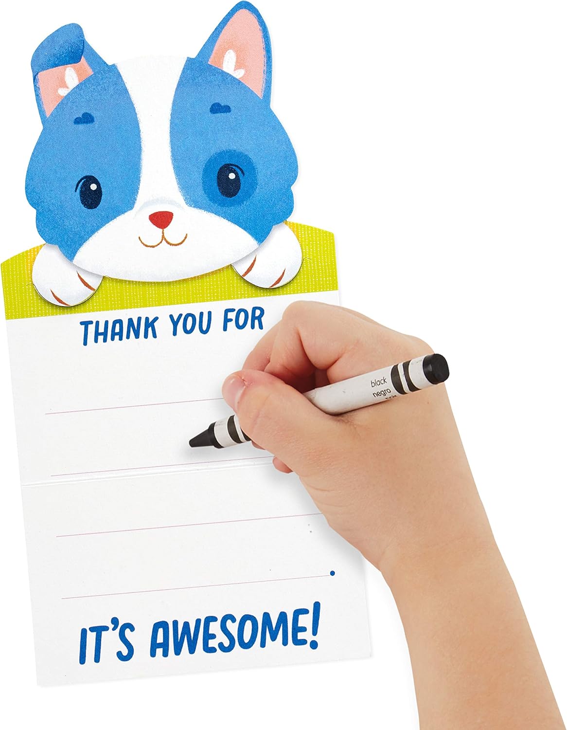 Hallmark Kids Fill in The Blank Thank You Cards Assortment, Dogs and Cats (24 Thank You Notes and 40 Stickers)