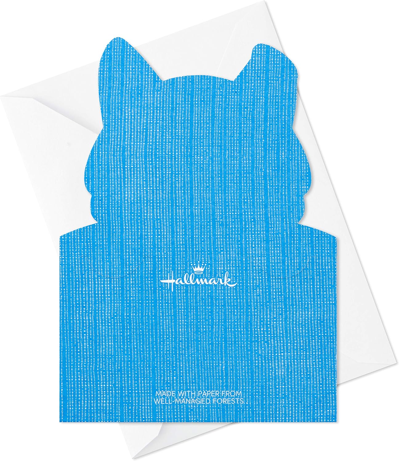 Hallmark Kids Fill in The Blank Thank You Cards Assortment, Dogs and Cats (24 Thank You Notes and 40 Stickers)