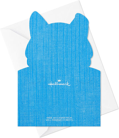 Hallmark Kids Fill in The Blank Thank You Cards Assortment, Dogs and Cats (24 Thank You Notes and 40 Stickers)