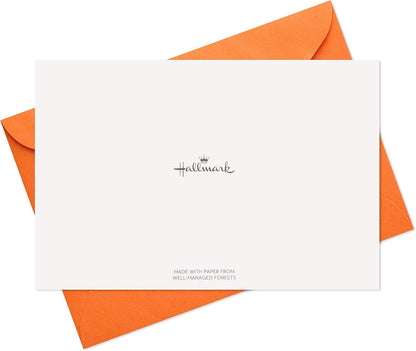 Hallmark Birthday Cards Assortment, 36 Cards with Envelopes (Cake, Ice Cream, Balloons)