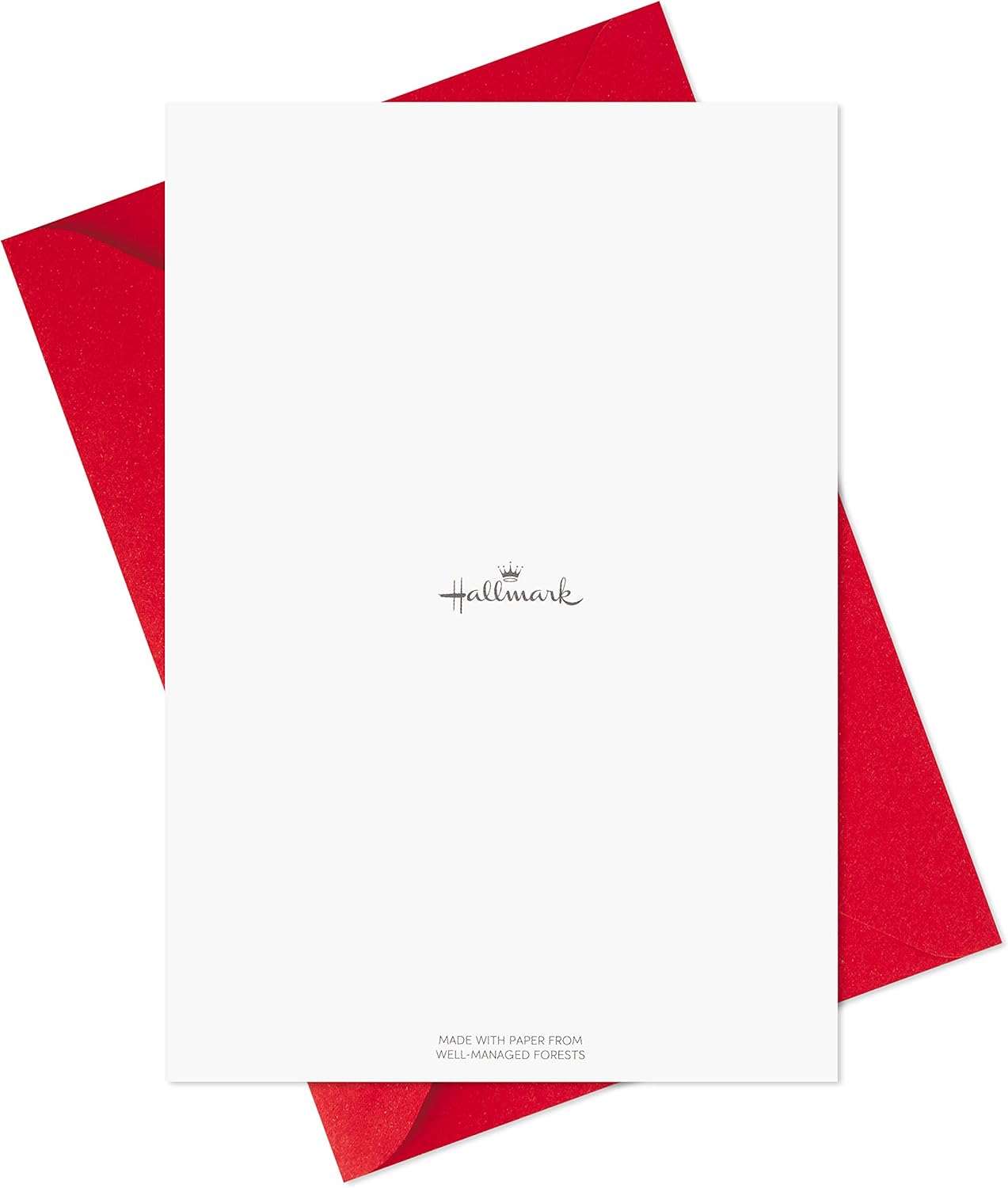 Hallmark Birthday Cards Assortment, 12 Cards with Envelopes (Rainbow)