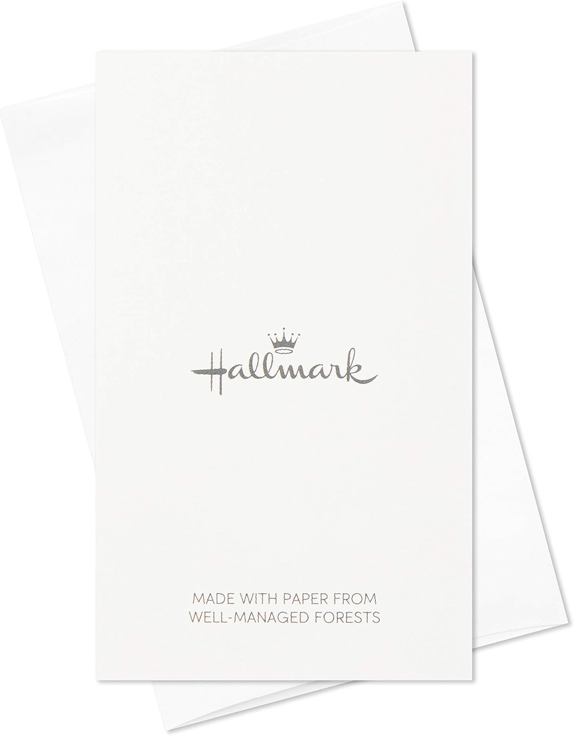 Hallmark Pack of 12 Assorted Mini Birthday Cards, 2.25" x 3.5" Cards with Envelopes (Llamas, Zebras, Dogs, Cats)