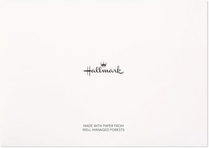 Hallmark Thank You Cards Assortment, Gold Foil Scroll (50 Thank You Notes with Envelopes for Wedding, Bridal Shower, Baby Shower, Business, Graduation)