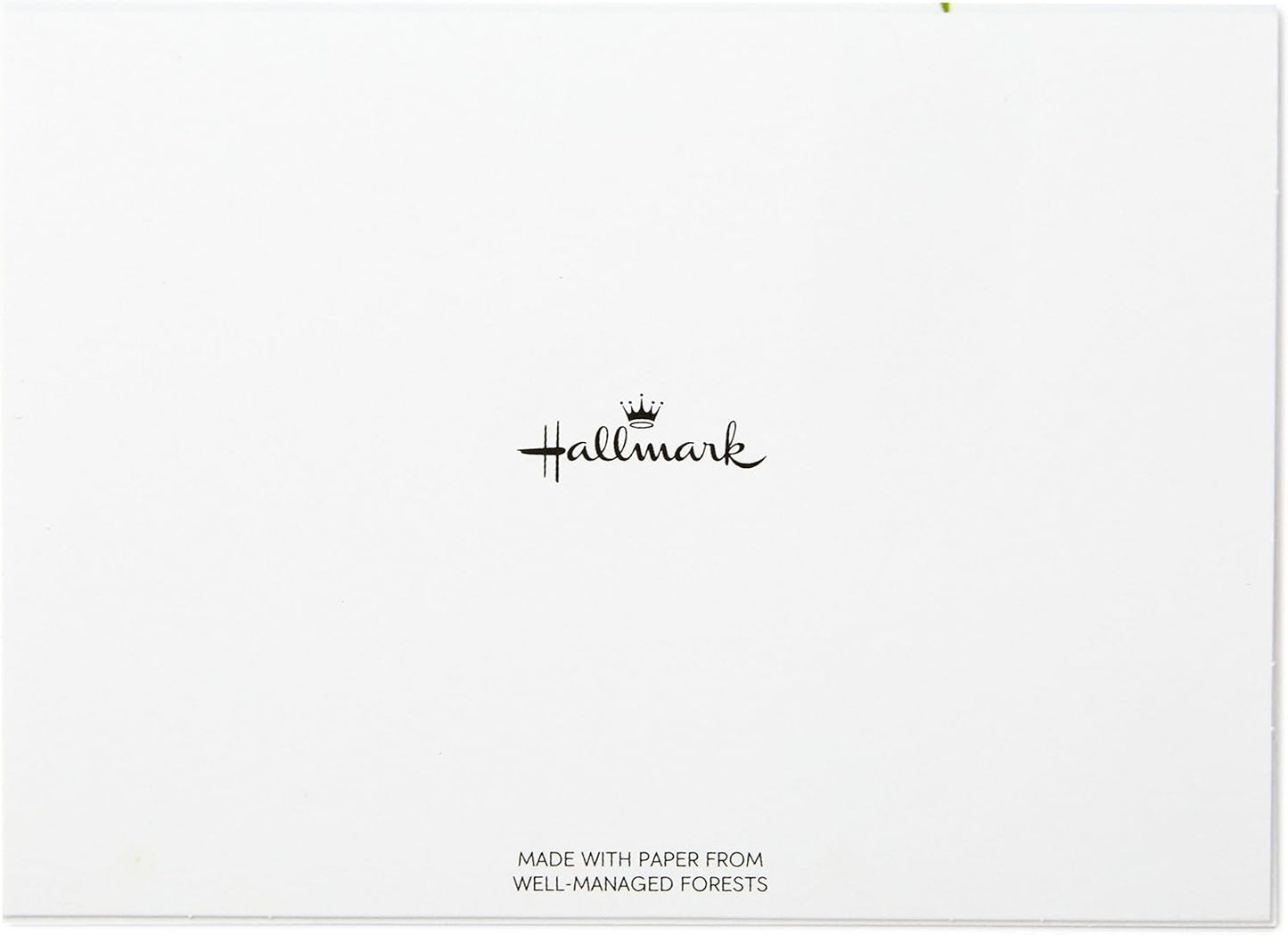 Hallmark Thank You for Your Sympathy Cards, Soft Bouquet (20 Note Cards with Envelopes)