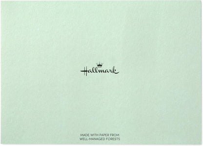 Hallmark Boxed Thank You Cards Assortment, Classic Gold Foil (Four Assorted Designs, 40 Cards with Envelopes)