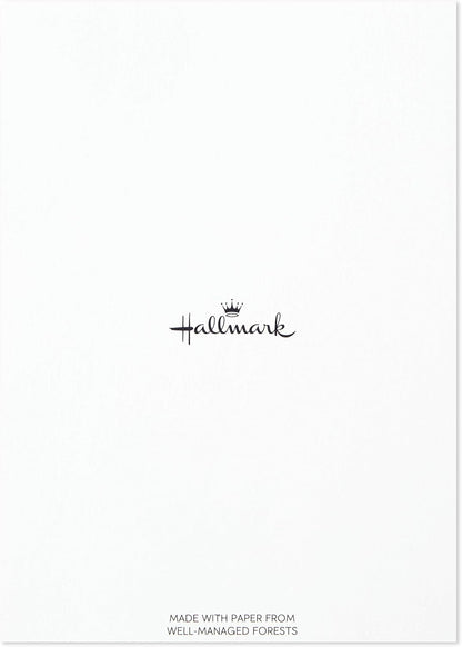 Hallmark Congratulations Card and Graduation Card Assortment (Boxed Set of 24 Cards with Envelopes)