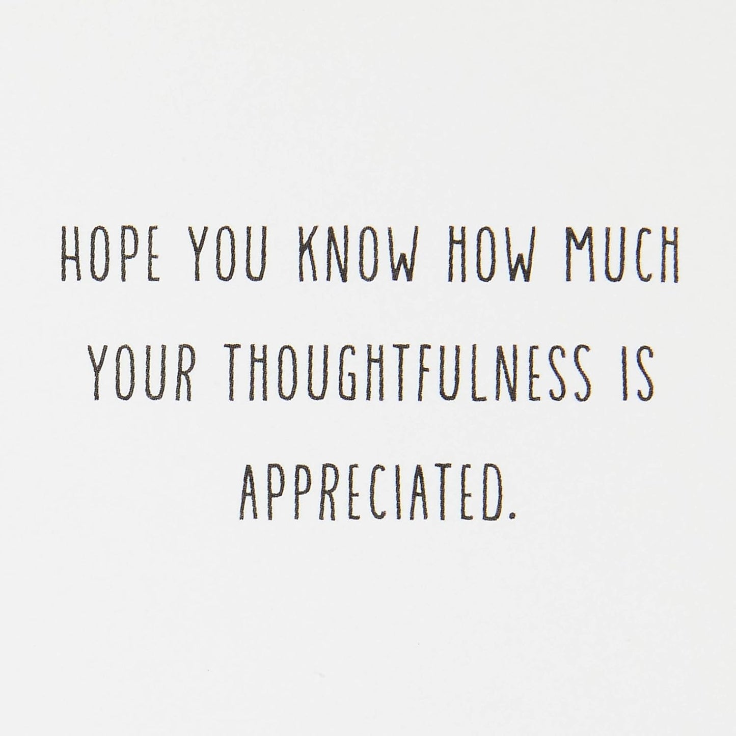 Hallmark Pack of 20 Thank You for Your Sympathy Cards, Gold Foil Greenery (Funeral Thank You Cards)