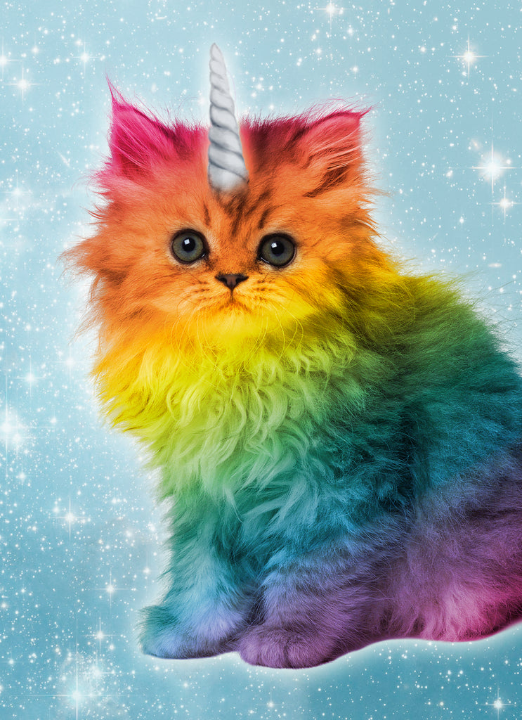 Funny Birthday Photographic Rainbow Unicorn Kitten