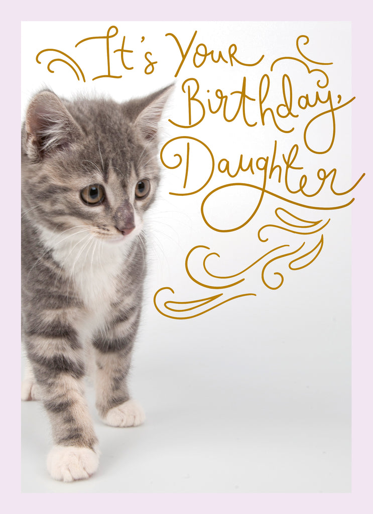 Cute Birthday Daughter Tabby Kitten