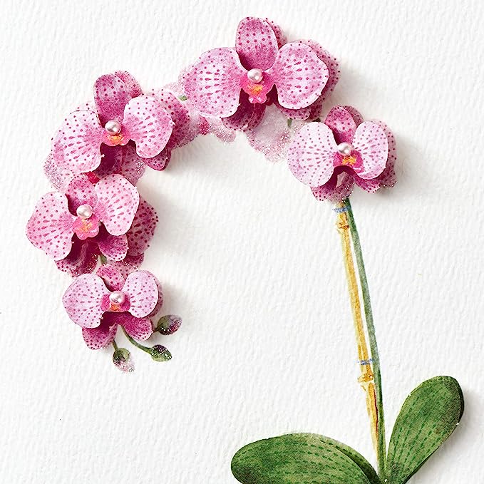 Hallmark Signature Birthday Card for Her (Orchid) Hallmark Australia