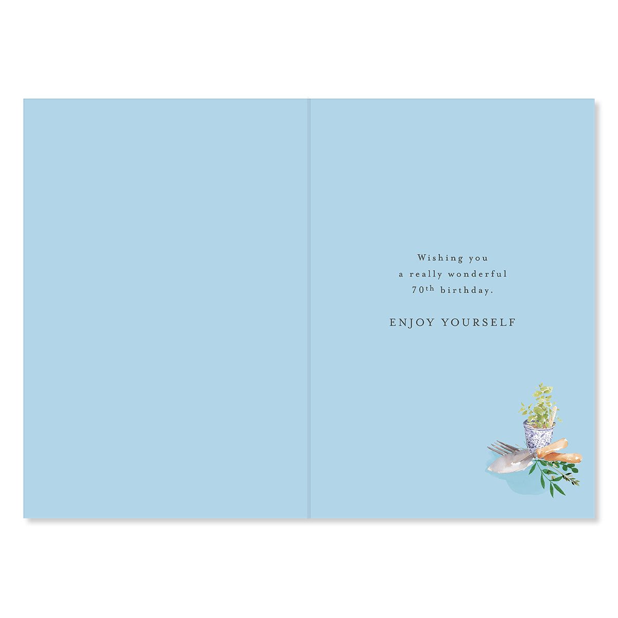 Hallmark 70th Birthday Card - Special Day