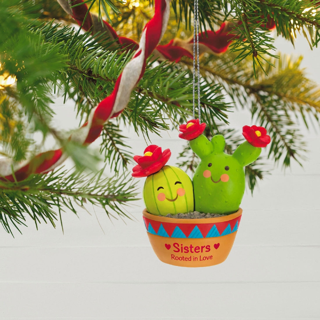 Cactus Sisters — Hallmark Keepsake Christmas Ornament, colourful potted cacti decoration hanging on a Christmas tree, cheerful details