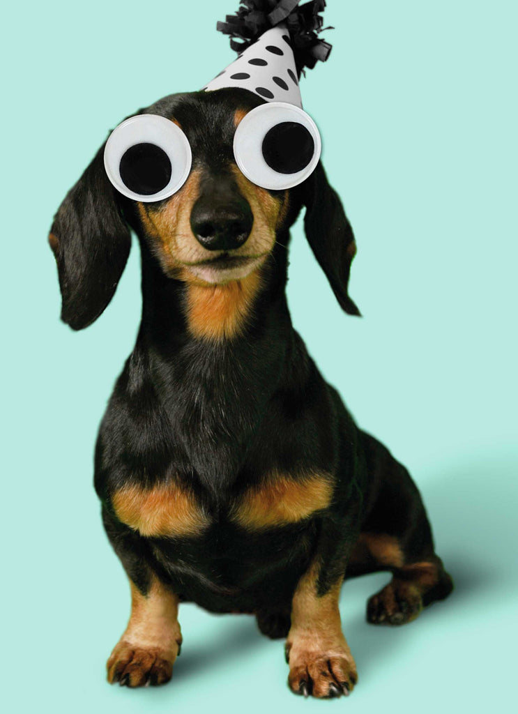 Funny Birthday Editable Weiner Dog Photo