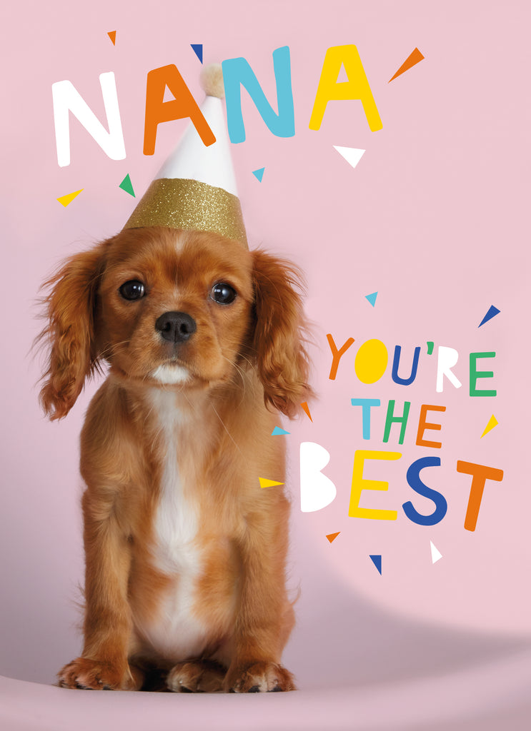 Cute Birthday Nan Photographic Dog In Party Hat