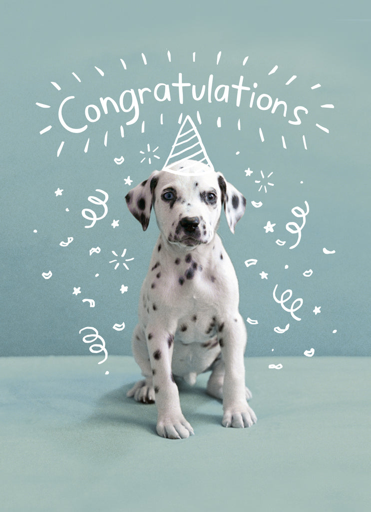 Cute Congratulations Photographic Dalmatian Puppy