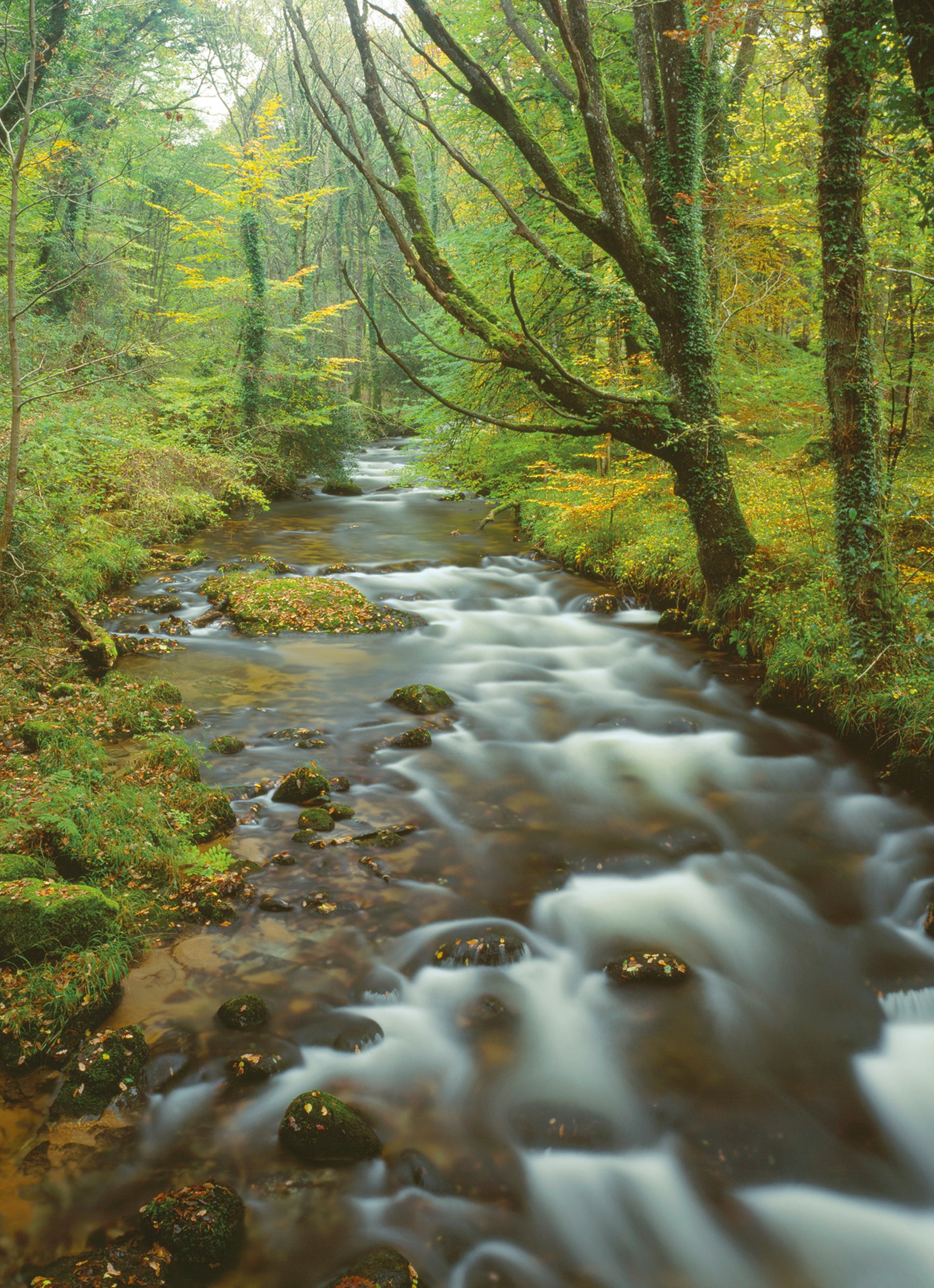 Traditional Scenic Photograph Countryside