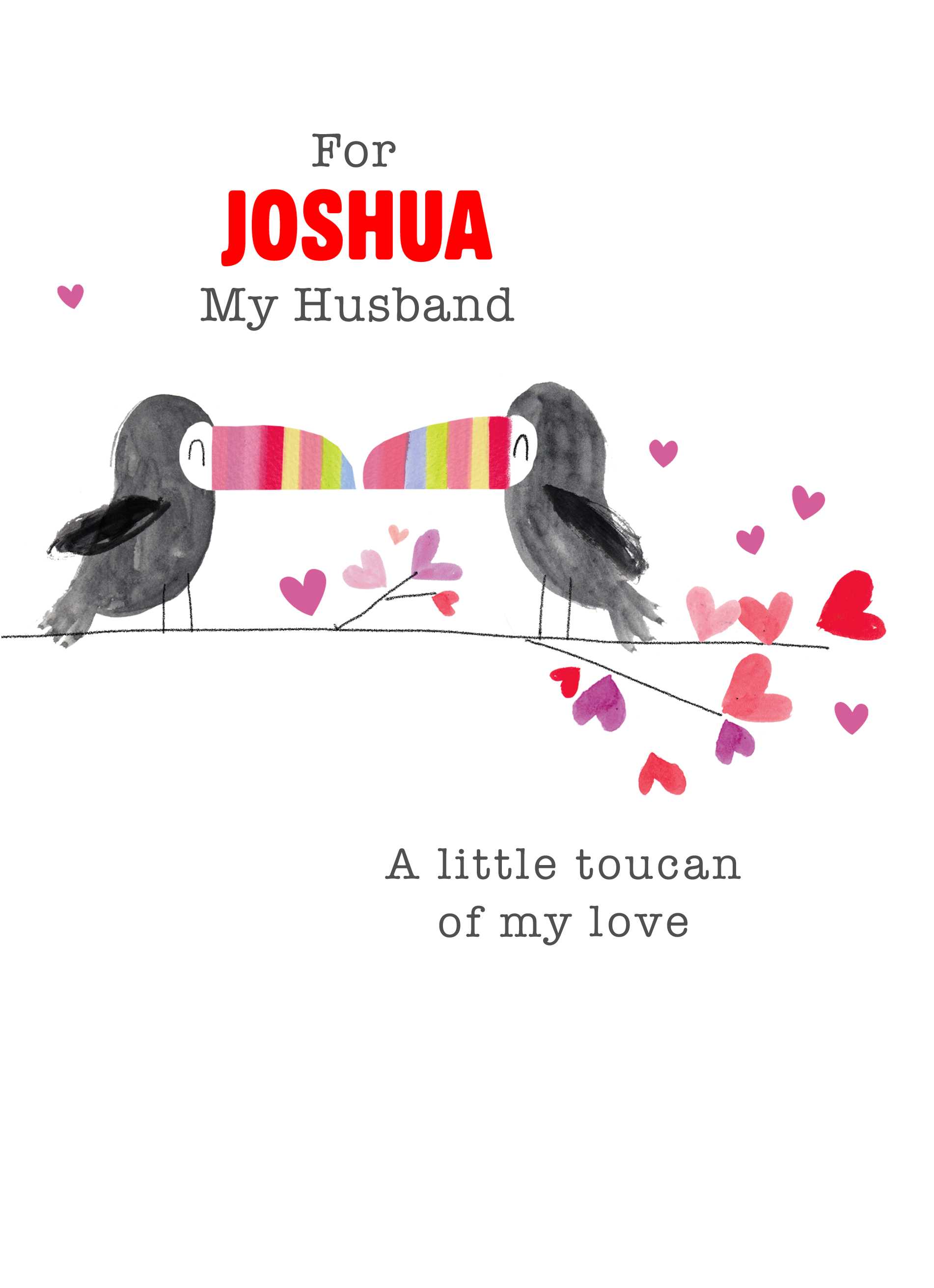 Husband Cute Toucan Birds Beaks Love Heart