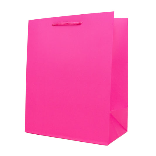 Hallmark Medium Gift Bag - Pink