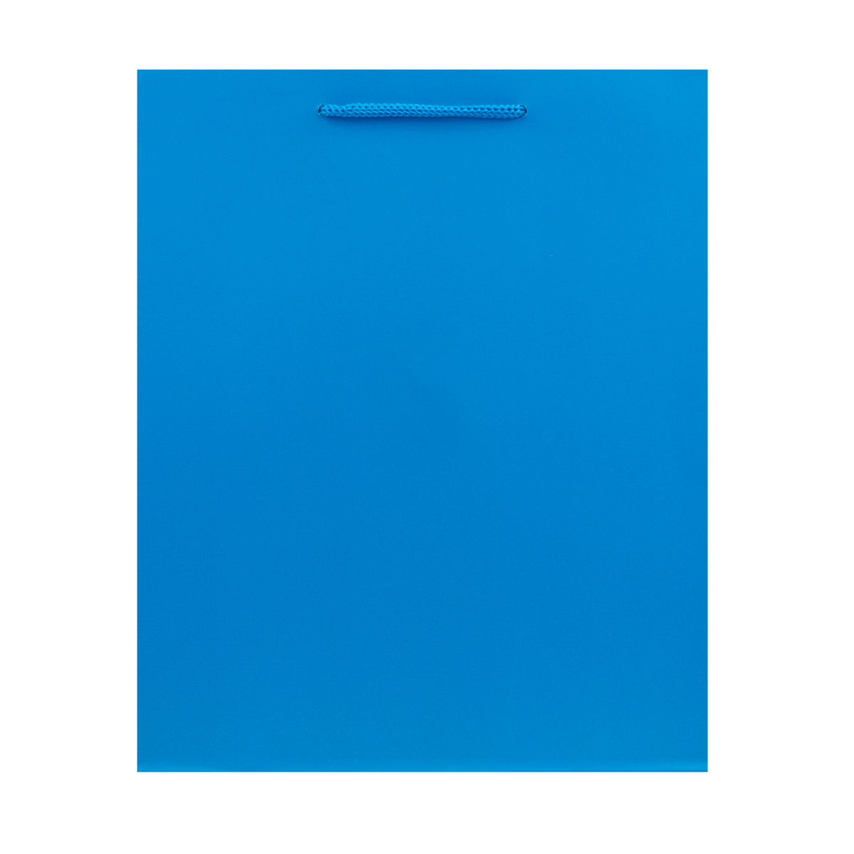 Hallmark Medium Gift Bag - Blue