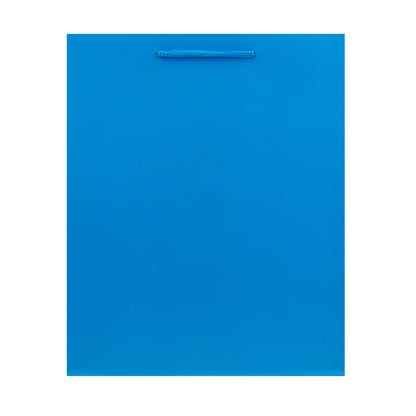 Hallmark Medium Gift Bag - Blue