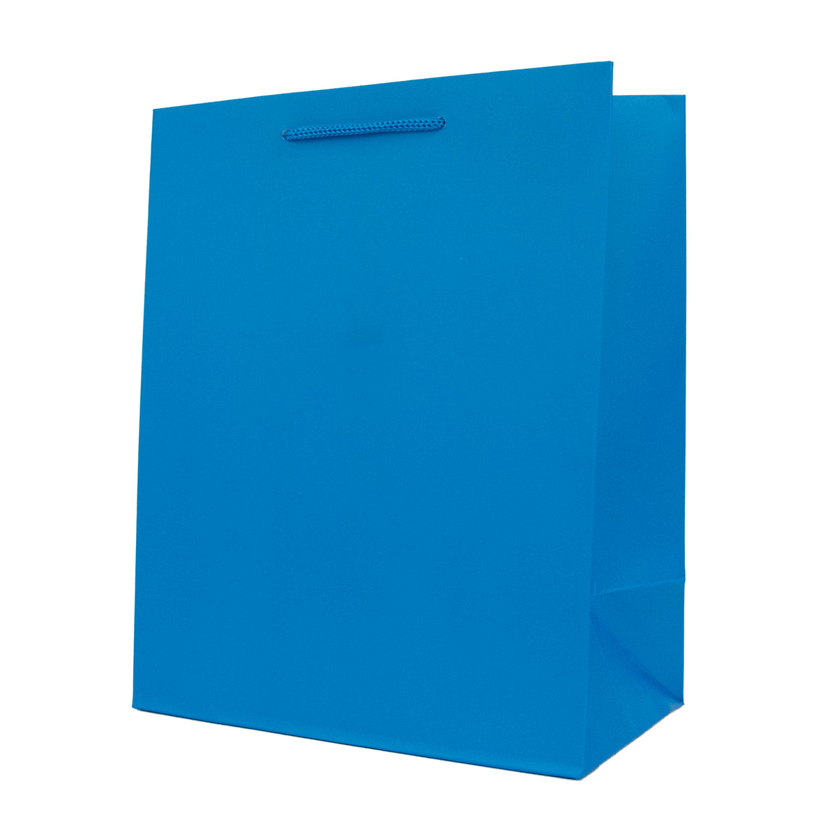 Hallmark Medium Gift Bag - Blue