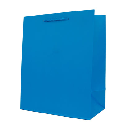 Hallmark Medium Gift Bag - Blue