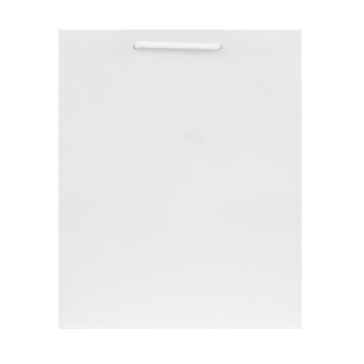 Hallmark Medium Gift Bag - Solid White
