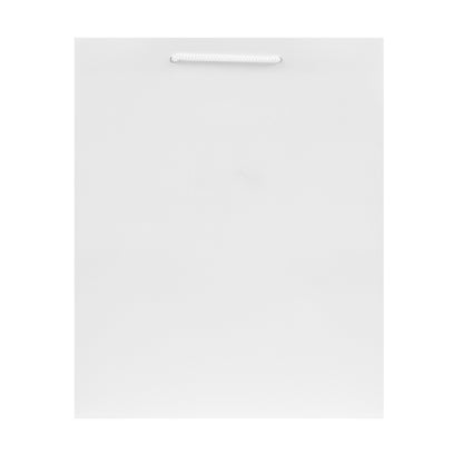 Hallmark Medium Gift Bag - Solid White