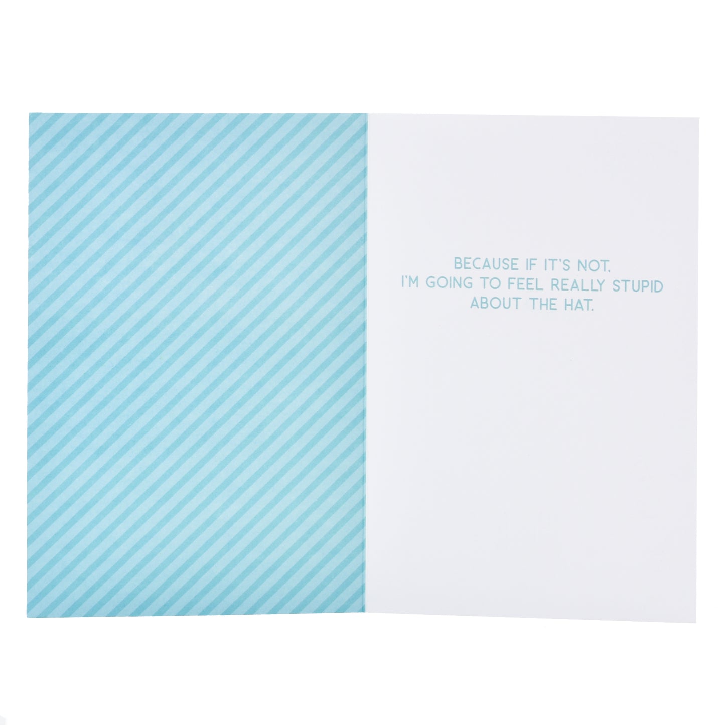 Wfp M Bday Pug Party Hat, interior view, striped blue pattern, humorous message printed inside.