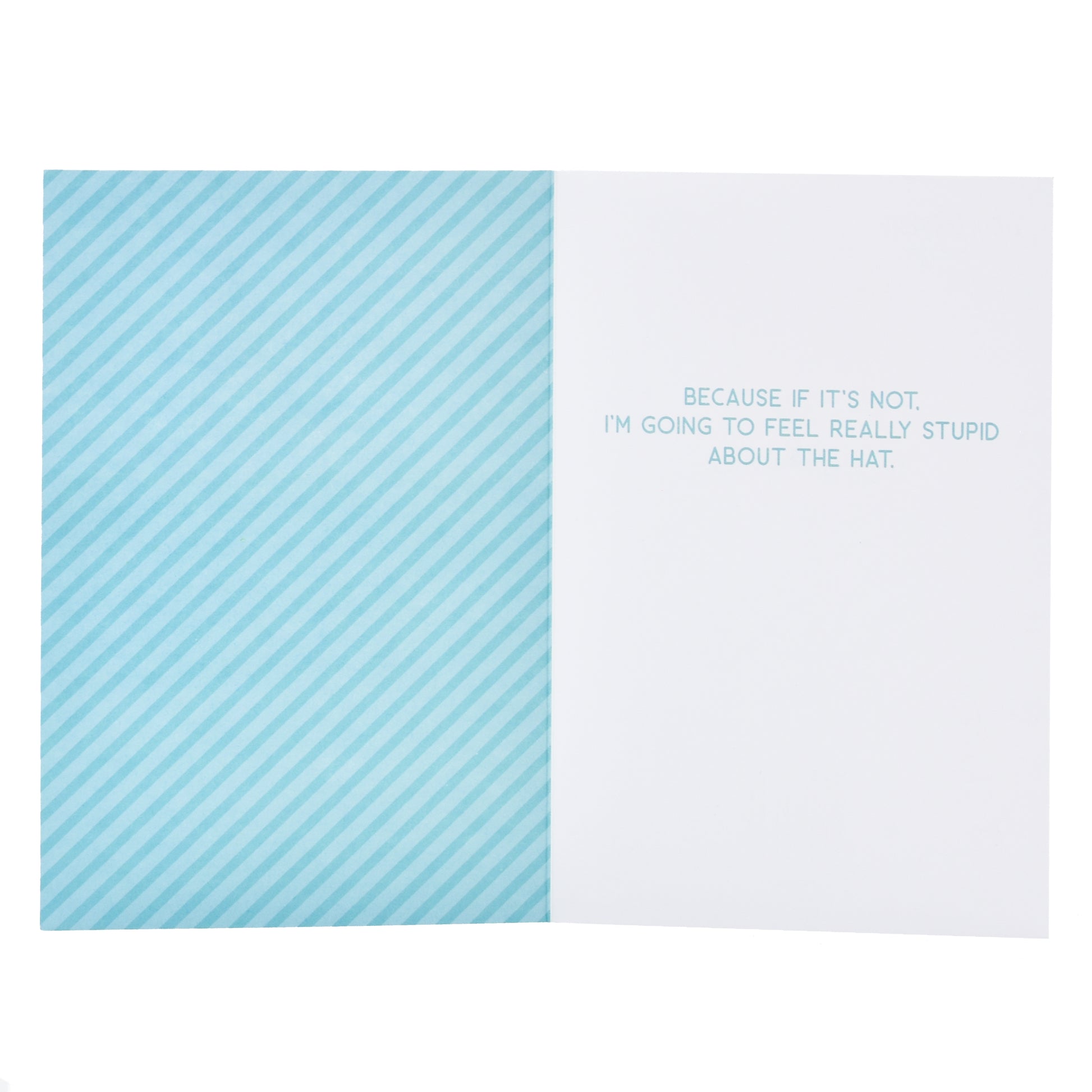 Wfp M Bday Pug Party Hat, interior view, striped blue pattern, humorous message printed inside.