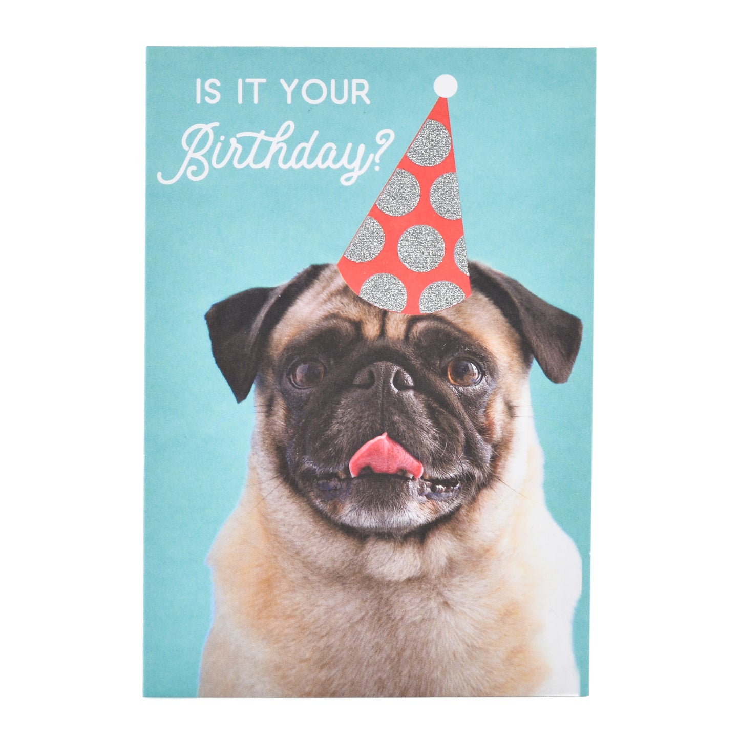 Wfp M Bday Pug Party Hat featuring a pug wearing a party hat against a turquoise background, ideal for birthday celebrations.