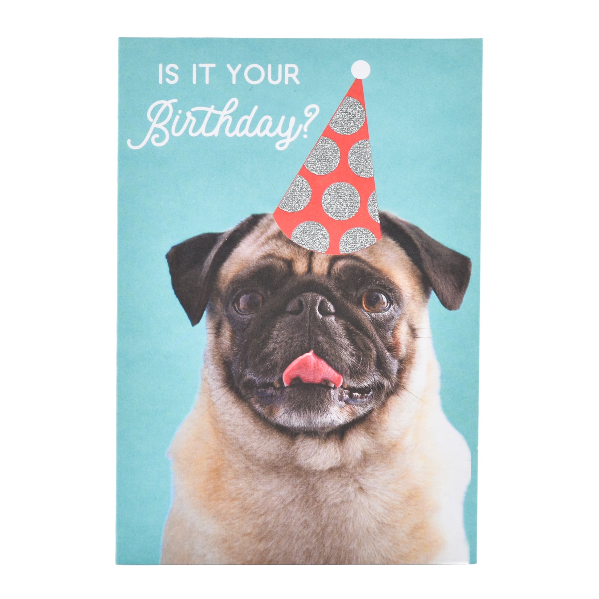 Wfp M Bday Pug Party Hat featuring a pug wearing a party hat against a turquoise background, ideal for birthday celebrations.