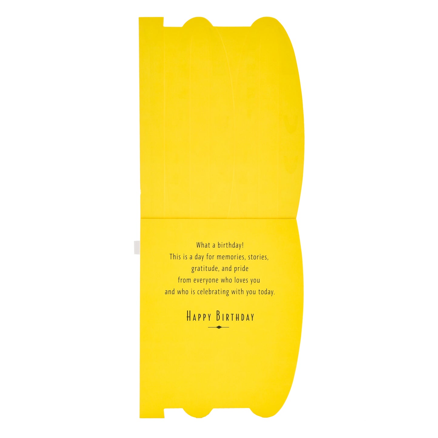 Hallmark 100th Birthday Card - 100 years