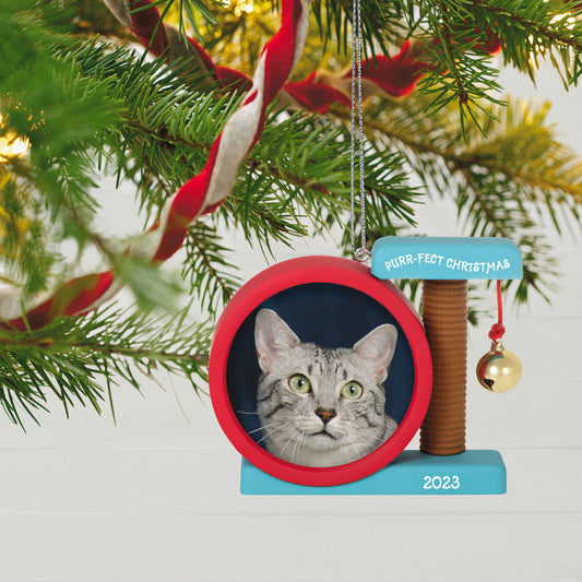 Purr—fect Christmas Photo Frame — Hallmark Keepsake Christmas Ornament
