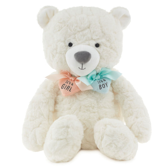 Gender Reveal Teddy Bear Plush With Ribbons