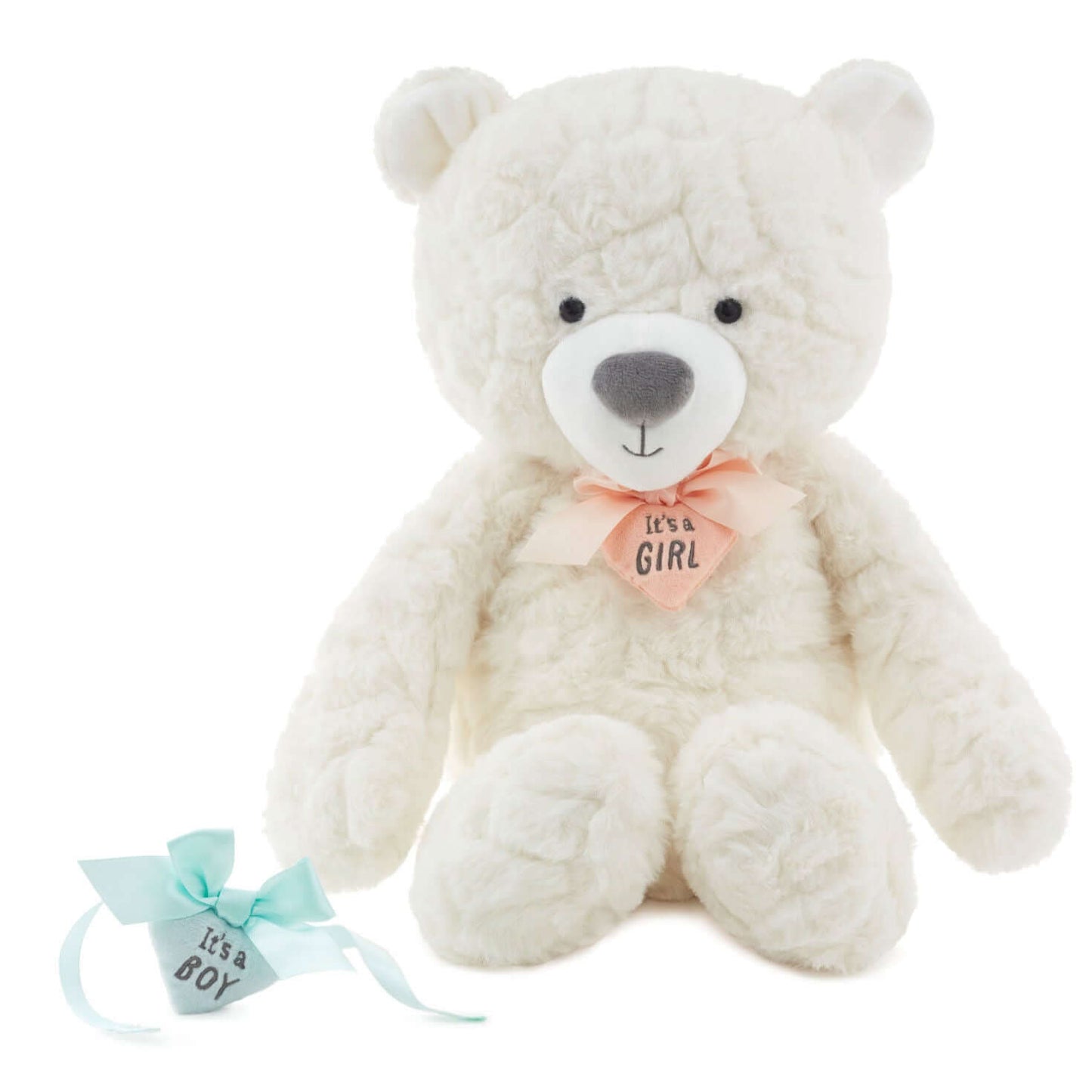 Gender reveal teddy bear plush with ribbons, soft white fabric, featuring a pink ribbon saying "it's a girl" and a blue ribbon for "it's a boy".