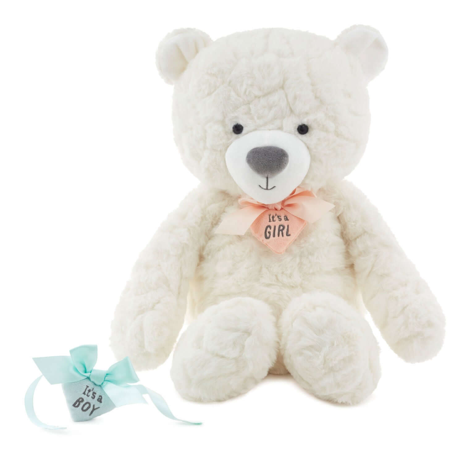 Gender reveal teddy bear plush with ribbons, soft white fabric, featuring a pink ribbon saying "it's a girl" and a blue ribbon for "it's a boy".