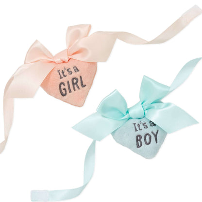 Gender reveal teddy bear plush with ribbons featuring heart charms saying 'It's a Girl' and 'It's a Boy' in pastel pink and blue.