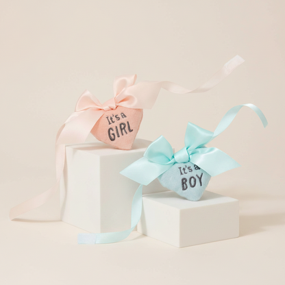 Gender Reveal Teddy Bear Plush With Ribbons
