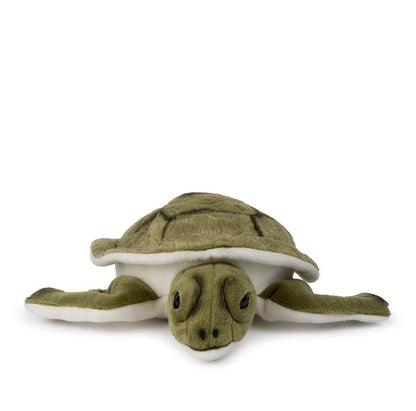WWF Turtle - 23 cm - 9"