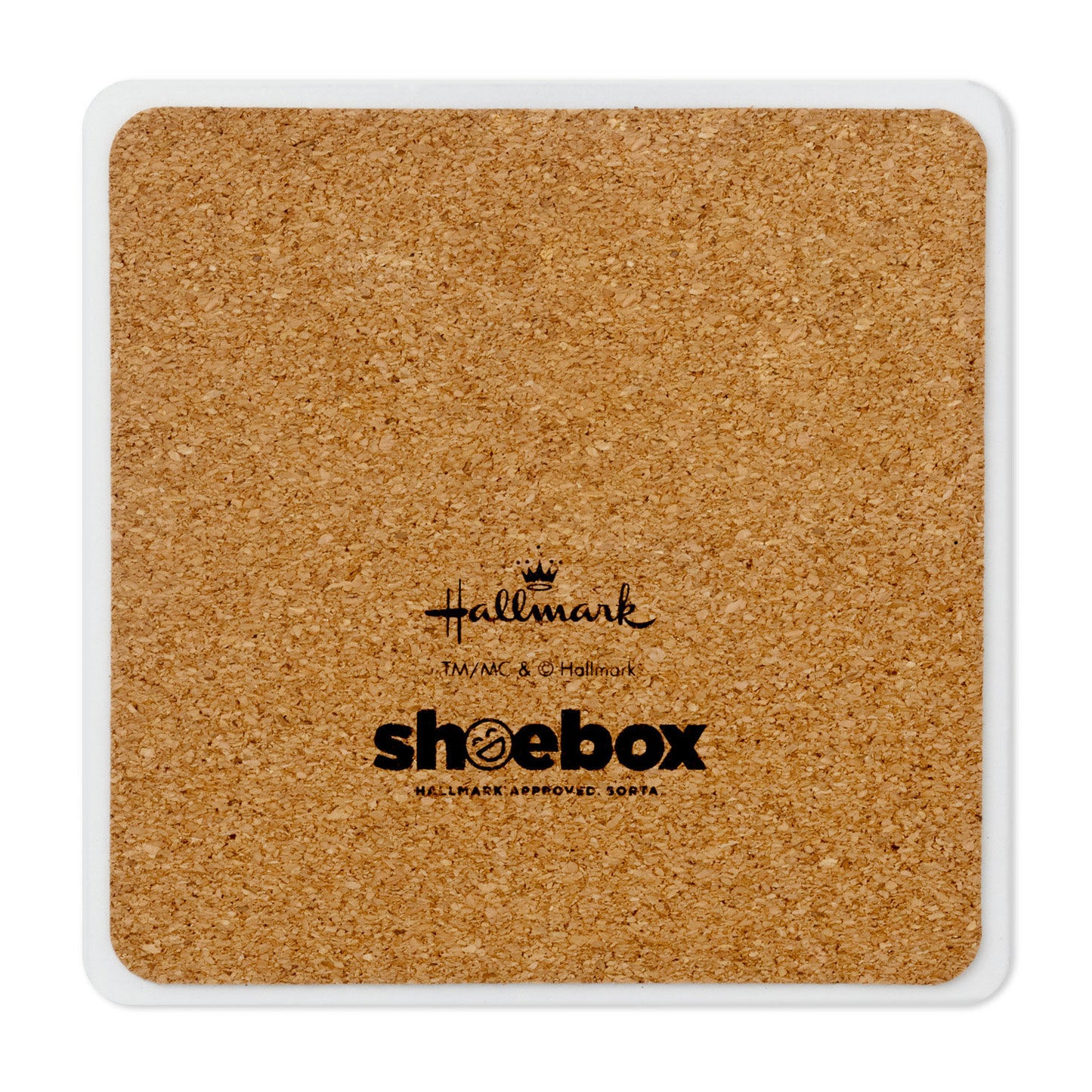 Grumpy Kevin the Cat Photo Funny Coaster