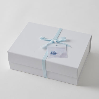 Pale Blue Bunny Hamper Gift Set 