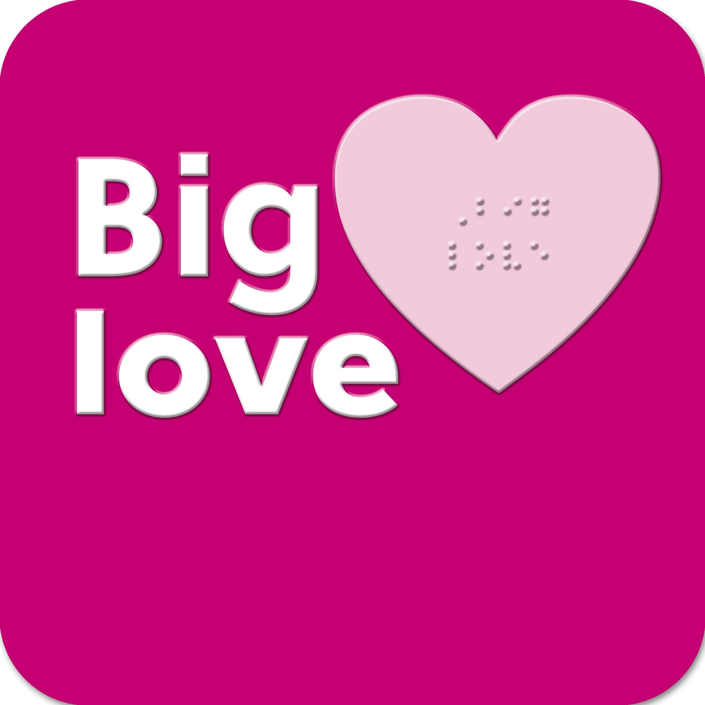 Hallmark x Guide Dogs Braille Greeting Card - Big Love