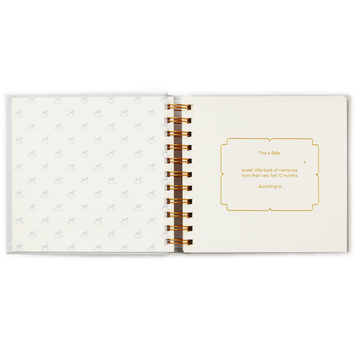 Sweet Baby's First Year Baby Book