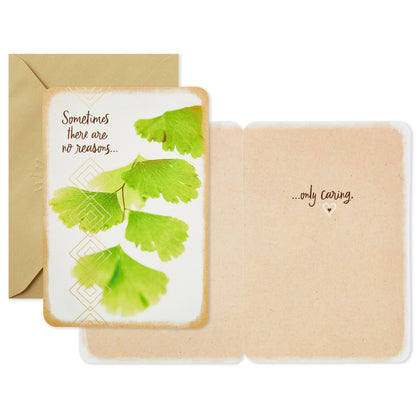 Hallmark Just Because Cards Assortment with Card Organizer Box (Pack of 10)—Congratulations, Sympathy, Thinking of You, Friendship