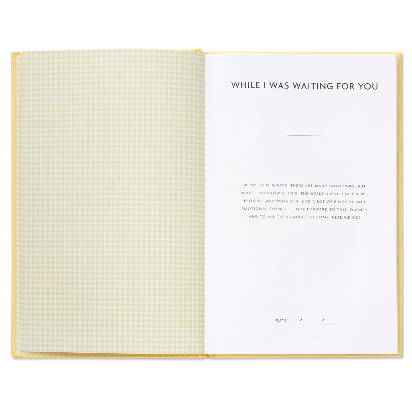 While I Was Waiting Pregnancy Journal