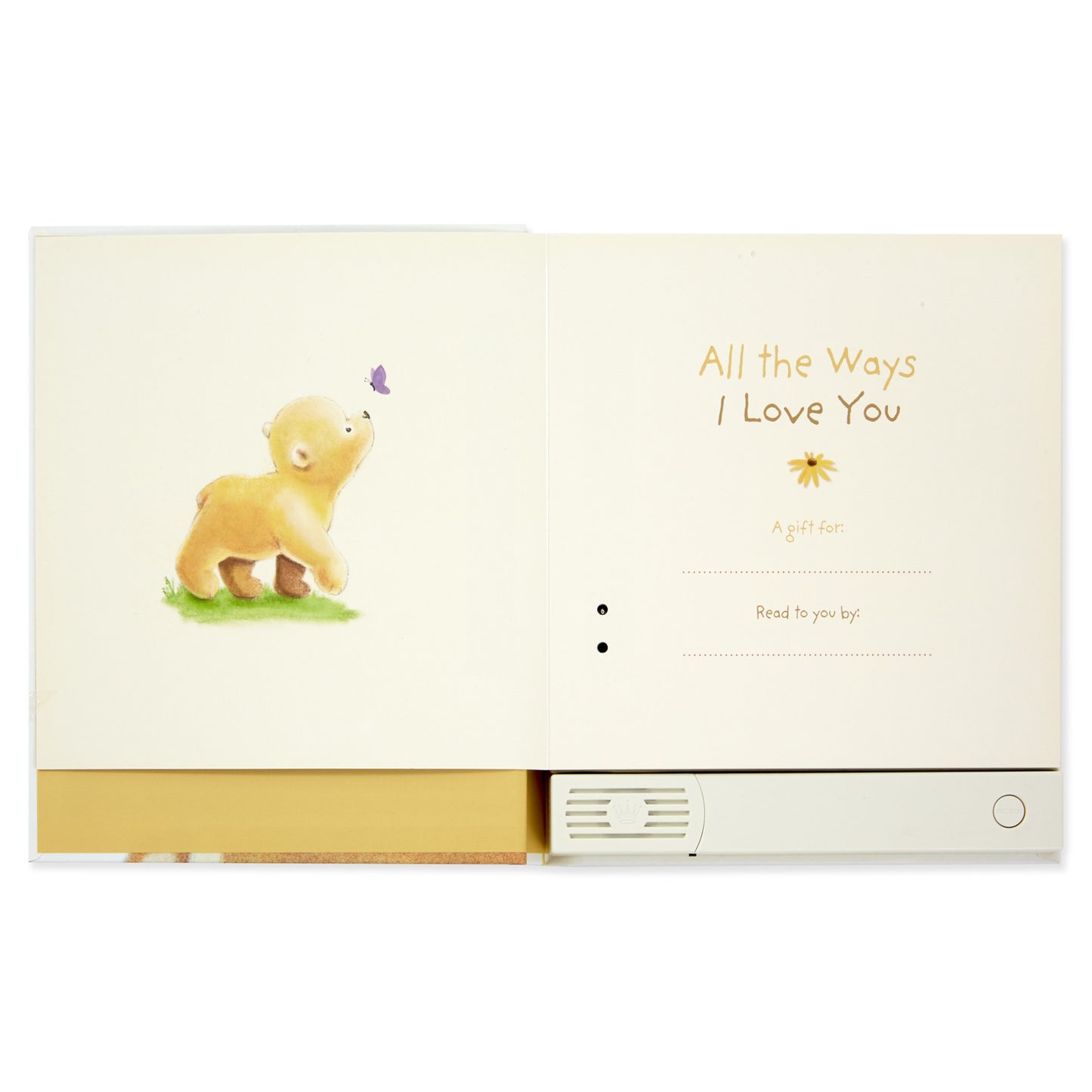 All The Ways I Love You Recordable Storybook