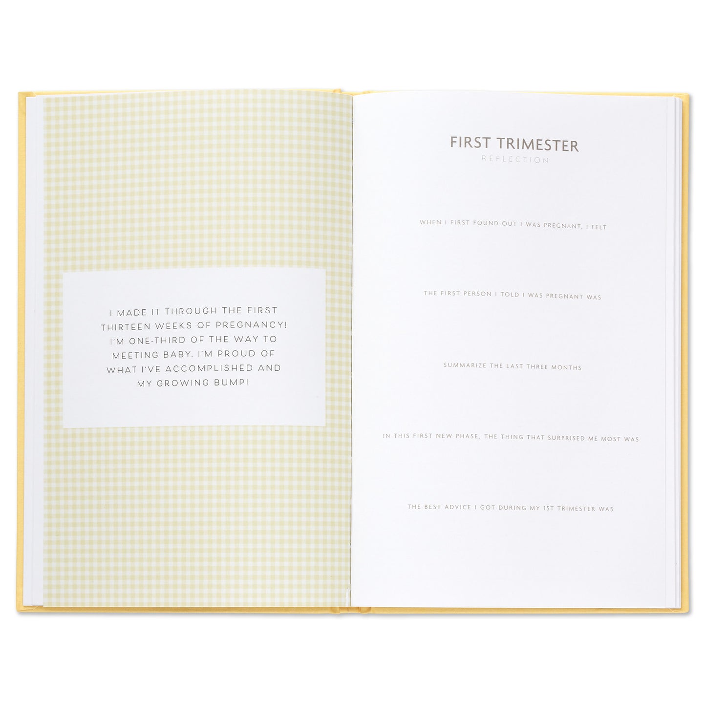 While I Was Waiting Pregnancy Journal