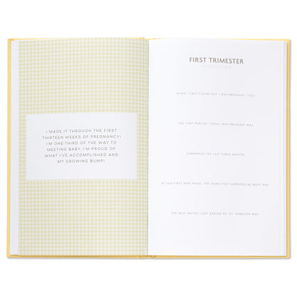 While I Was Waiting Pregnancy Journal