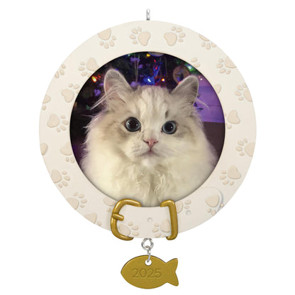 Furry Friend — 2025 Hallmark Keepsake Christmas Ornament